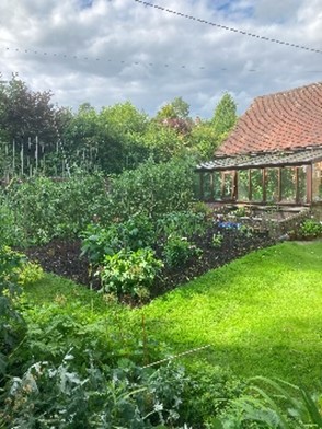 Garden Image 5